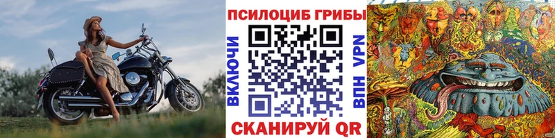 Галлюциногенные грибы Psilocybine cubensis  Мглин 